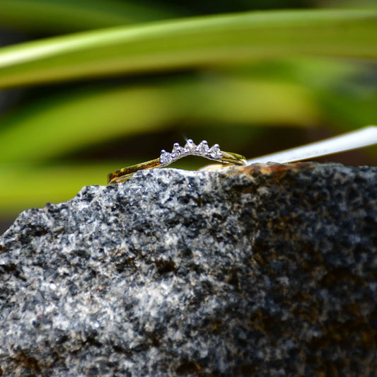 A crown-shaped diamond ring on a rough textured stone, with green plant leaves in the background.