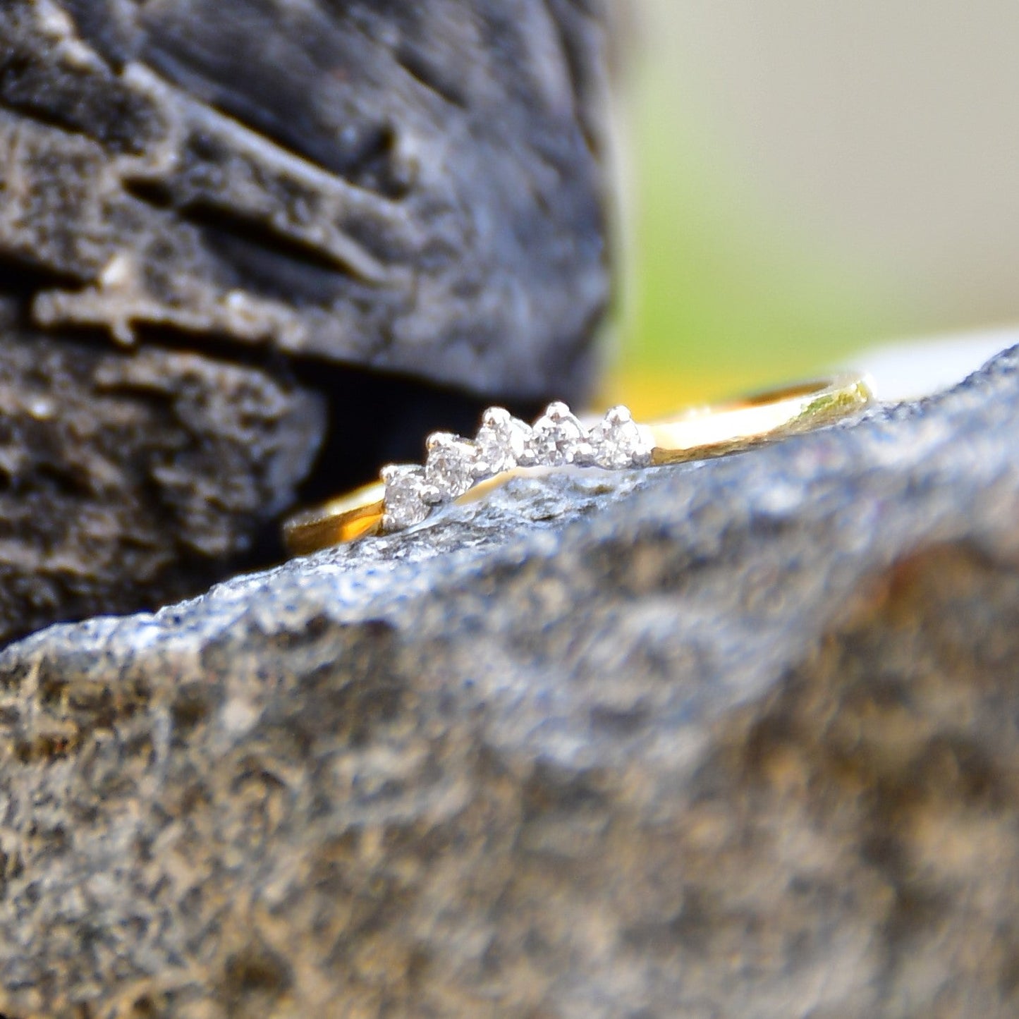 A crown-shaped diamond ring on a textured rough stone, with green plant leaves in the background.