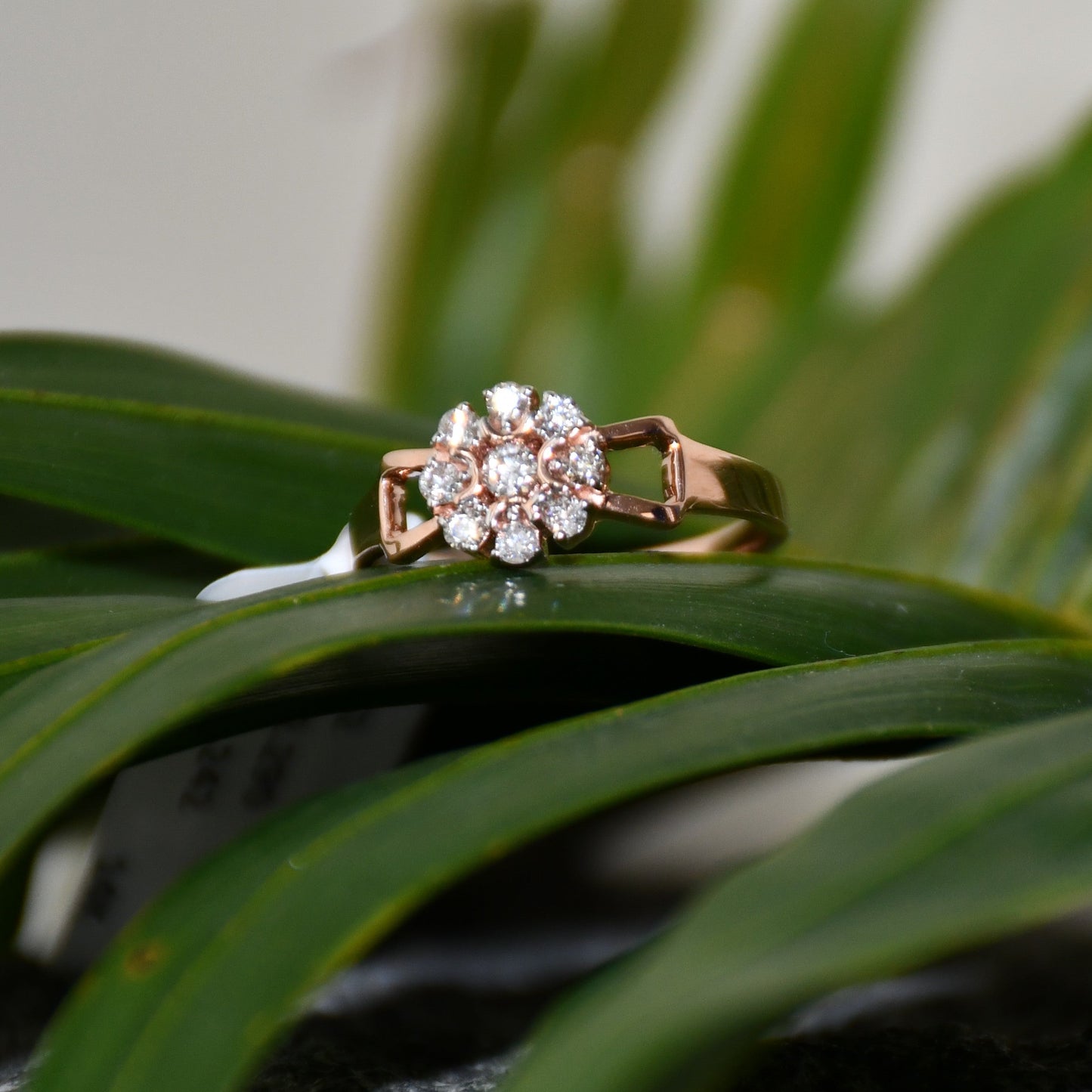 A 14K gold diamond band ring with a central row of diamonds and smaller surrounding diamonds set in a gold band displayed on green leaves.