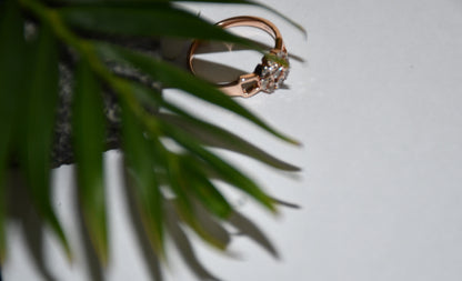 Women's 0.24 CT Diamond Ring in 14Kt Gold
