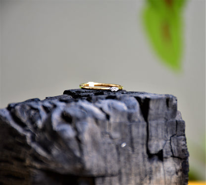 14k Gold Two Diamond Band Ring for Women