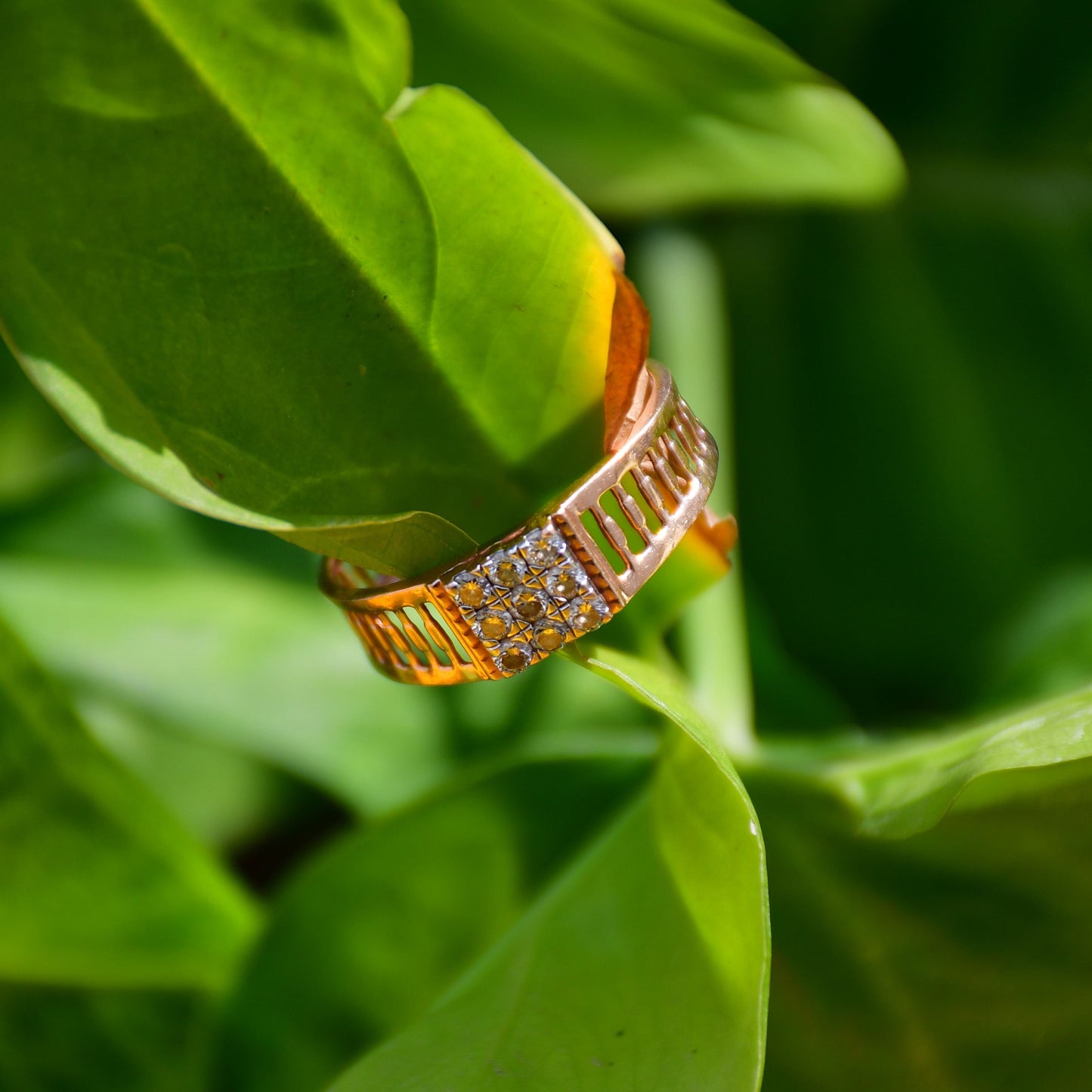 A gold diamond ring is displayed that is hold by a green leaf.