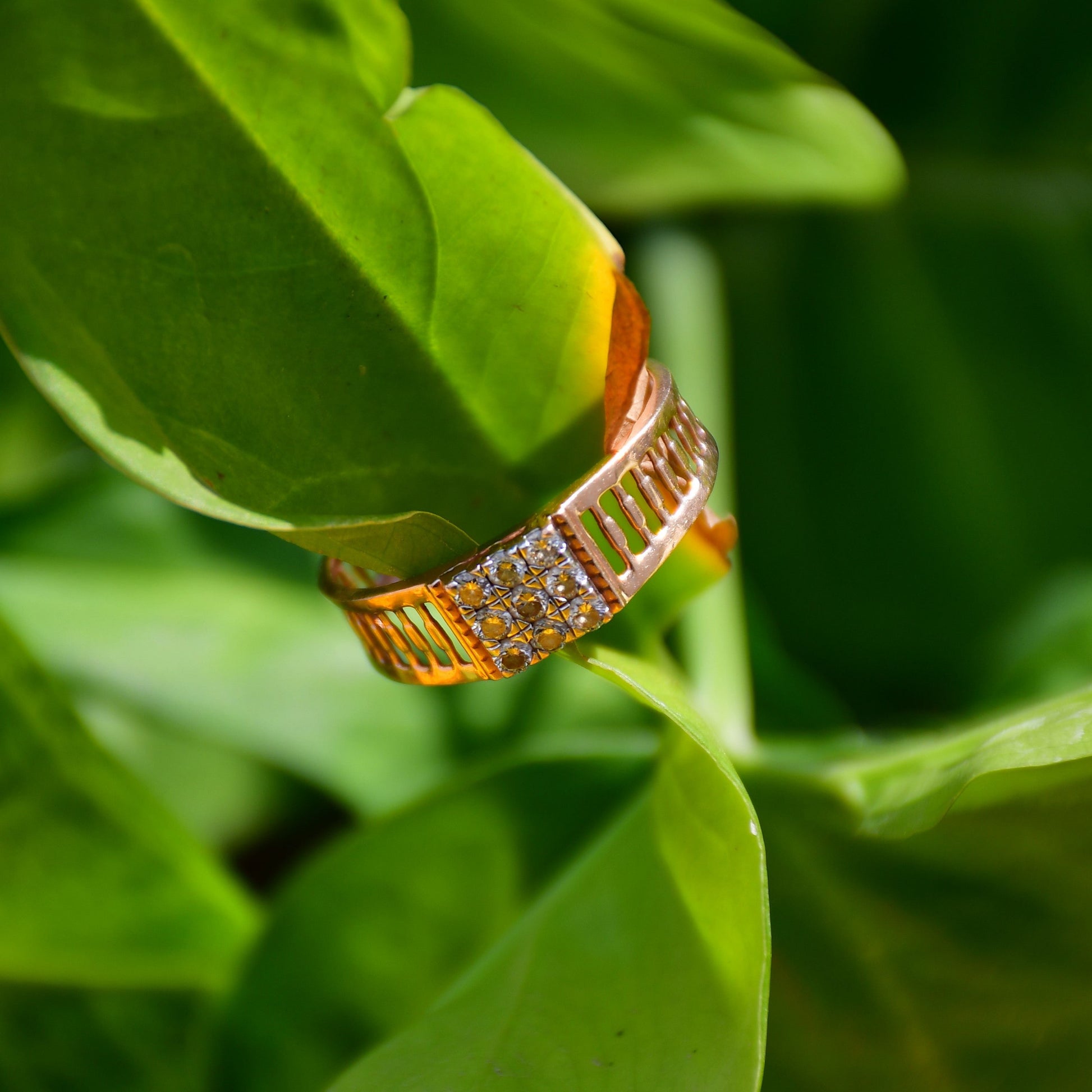 A gold diamond ring is displayed that is hold by a green leaf.