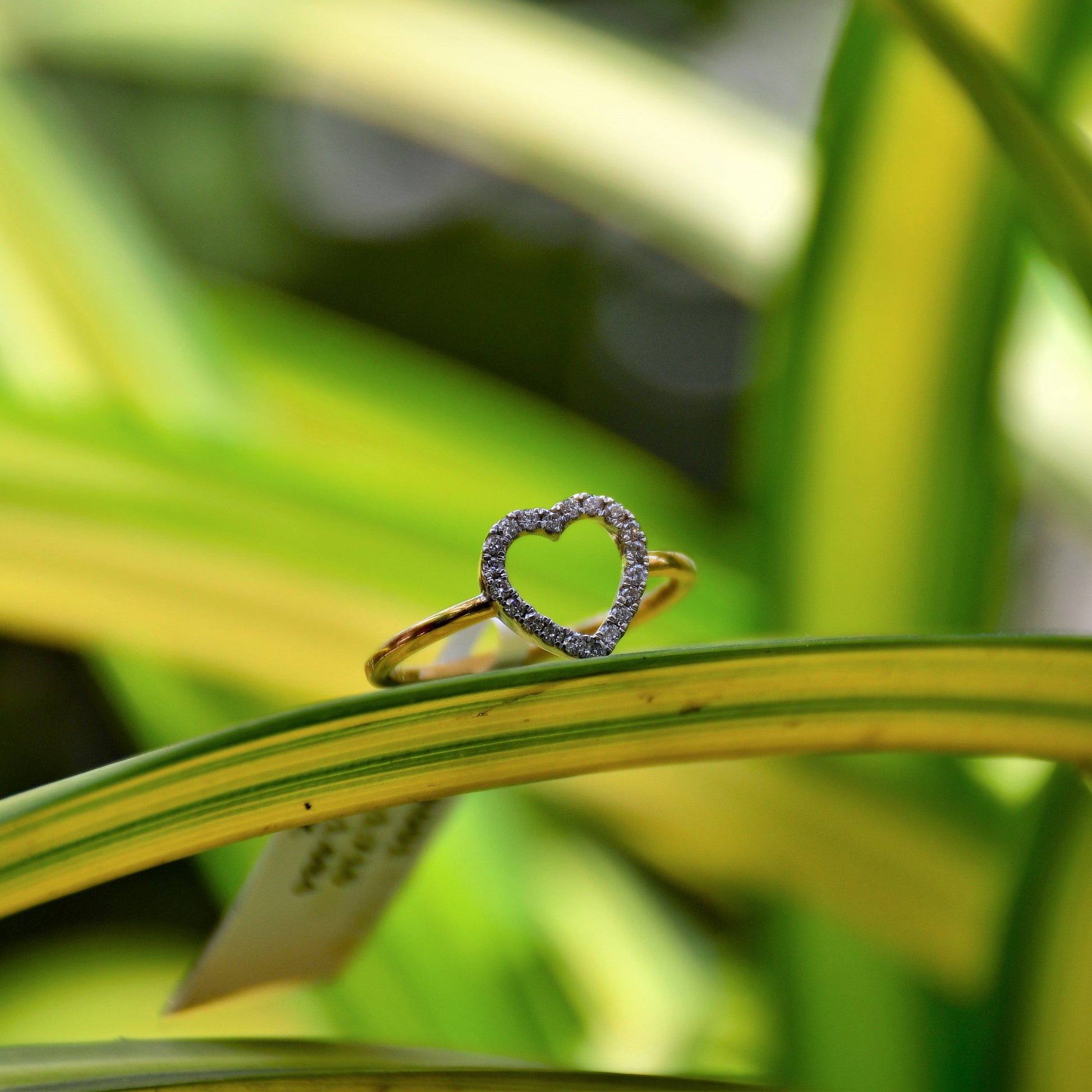 Delicate heart-shaped diamond ring set on a thin gold band, placed on green and yellow variegated leaves in natural light.