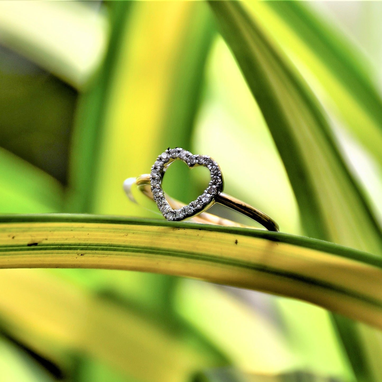 Delicate heart-shaped diamond ring set on a thin gold band, placed on green and yellow variegated leaves in natural light.