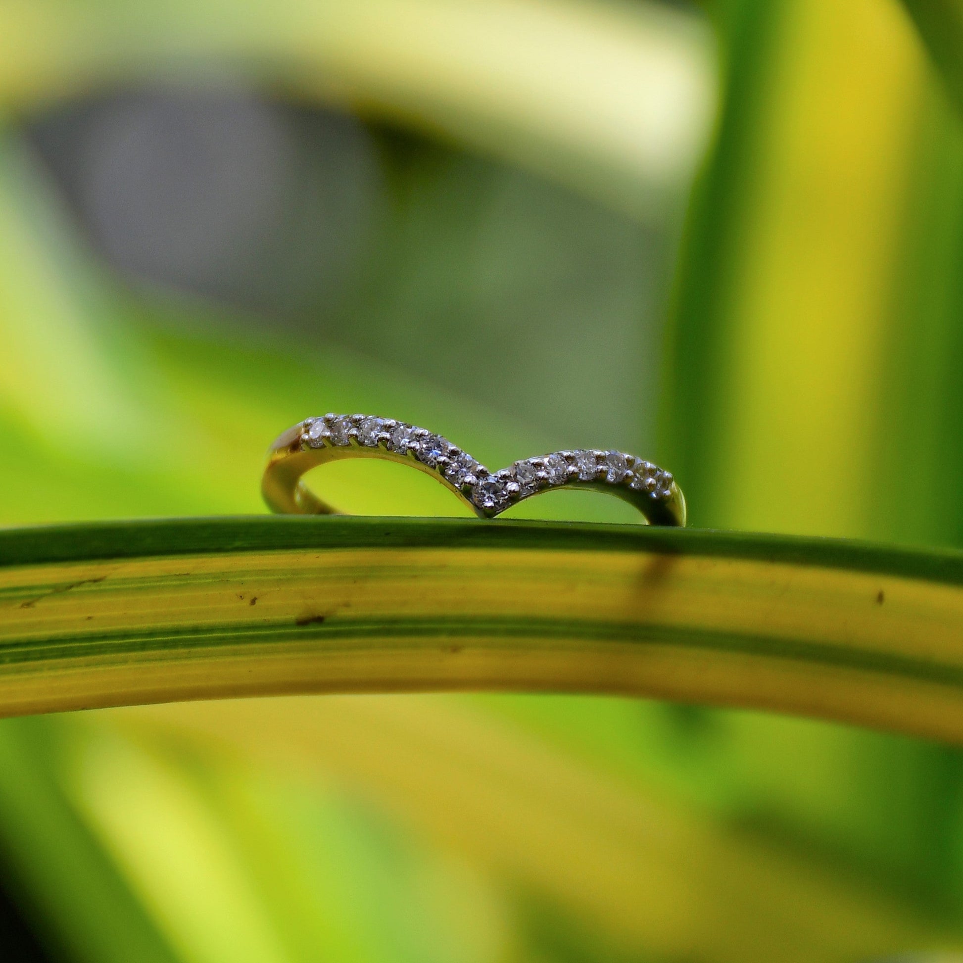 A gold ring featuring a V-shaped diamonds centerpiece, set on a green-yellow leaf surface with a blurred green background.