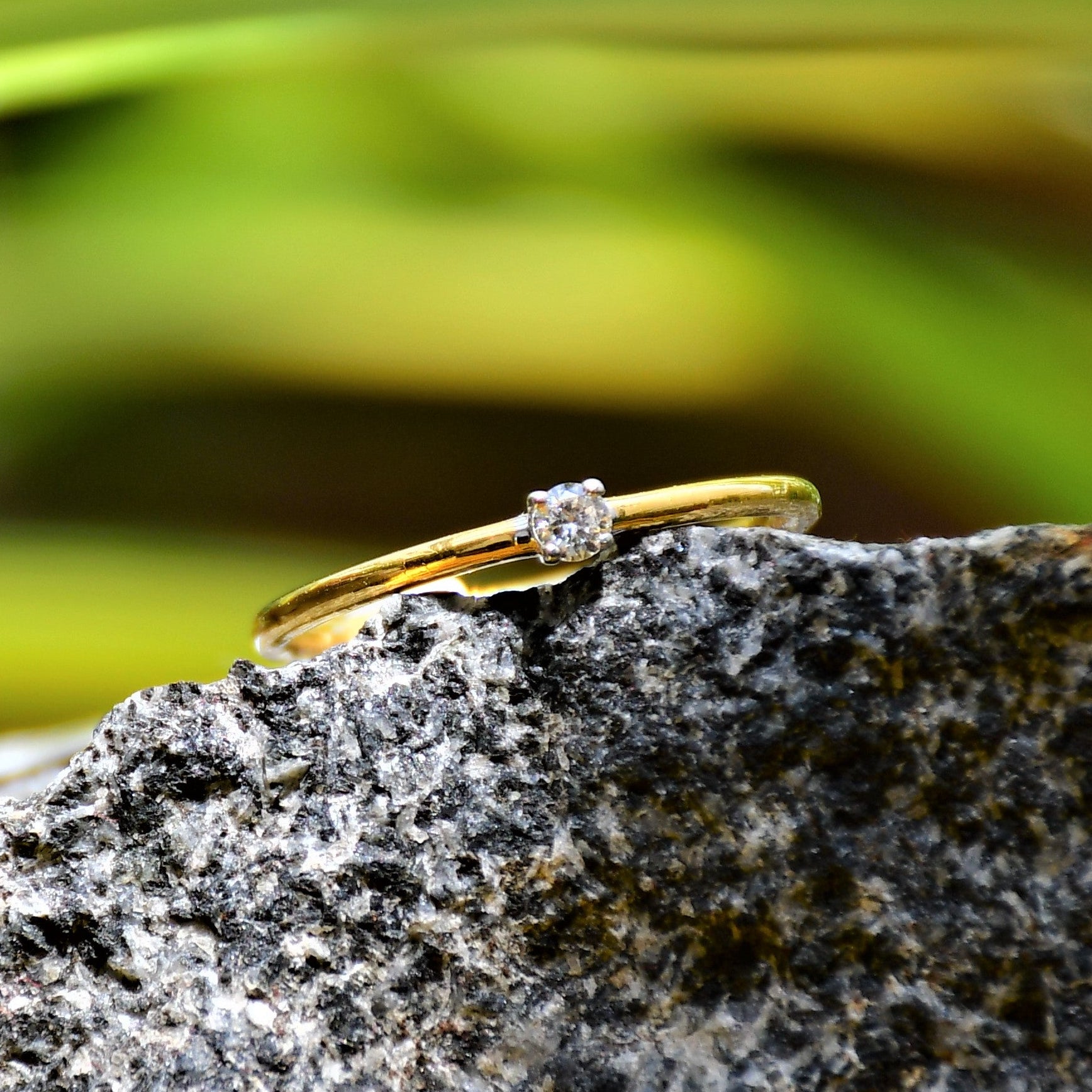 A close-up image of a delicate gold ring with a single small diamond solitaire set at the center, displayed on a textured black stone surface with soft green leaves in the blurred background, creating a natural and elegant composition.