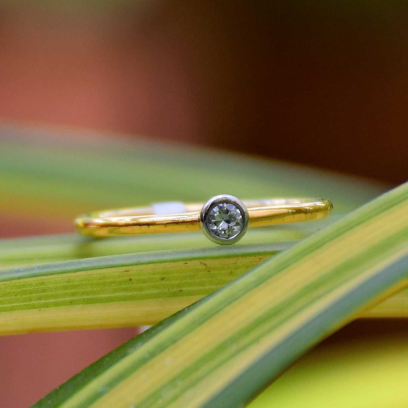 A gold band ring with a single diamond set in a solitaire setting, positioned on a green and yellow leafy surface.