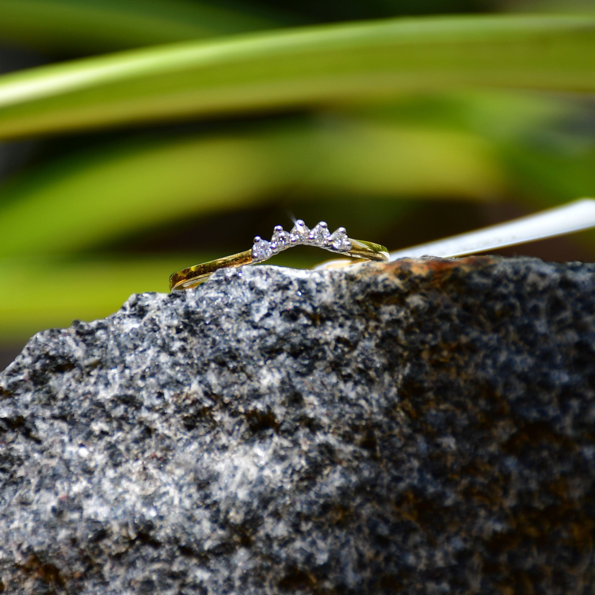 A crown-shaped diamond ring on a rough textured stone, with green plant leaves in the background.