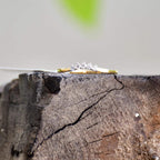 A crown-shaped diamond ring on a broken piece of wood, with green plant leaves in the background.