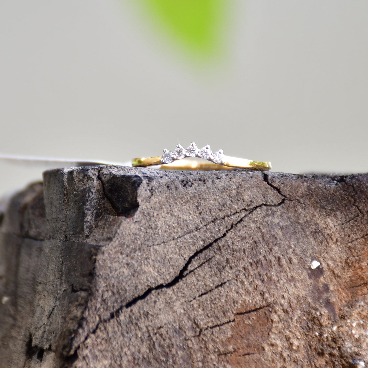 A crown-shaped diamond ring on a broken piece of wood, with green plant leaves in the background.