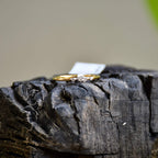 A close-up image of a delicate yellow gold ring featuring a small marquise-shaped cluster of diamonds at the center, displayed on a textured stone surface with a softly blurred natural background.