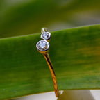 A 14kt gold band ring with two set diamonds on it, placed on a green leafy background.