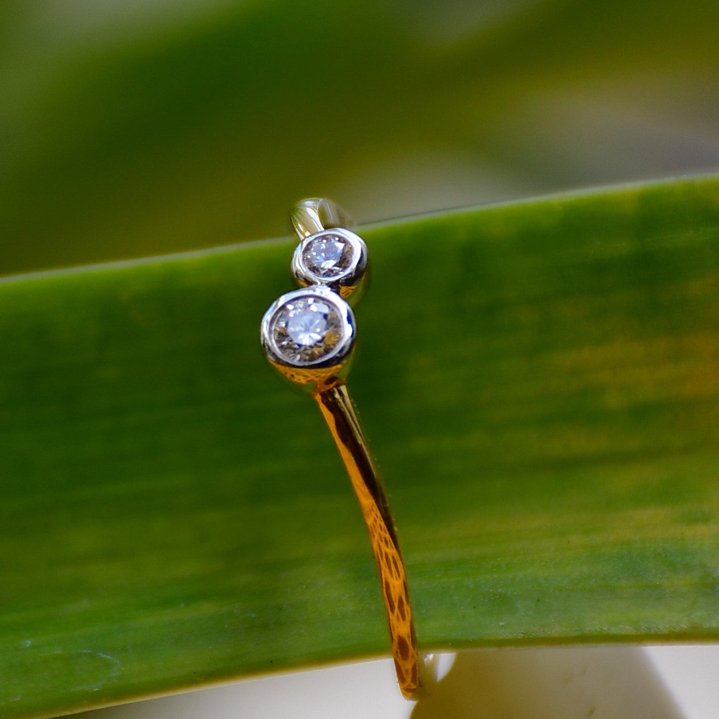 A 14kt gold band ring with two set diamonds on it, placed on a green leafy background.
