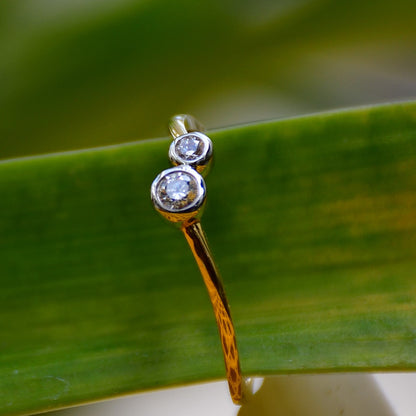A 14kt gold band ring with two set diamonds on it, placed on a green leafy background.