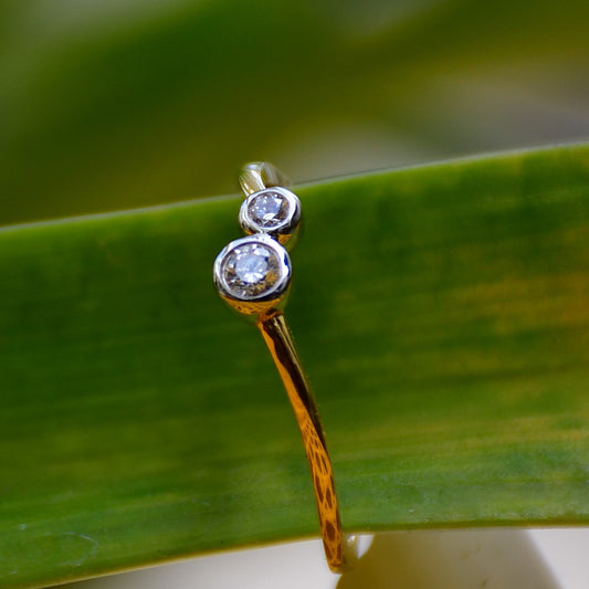 A 14kt gold band ring with two set diamonds on it, placed on a green leafy background.