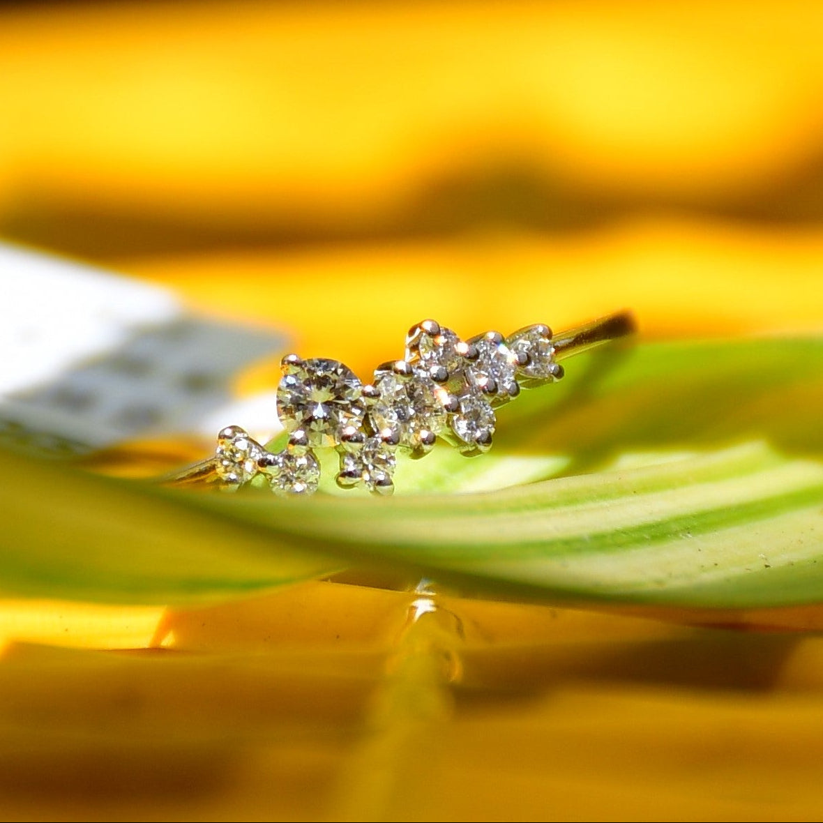 A gold diamond band ring set on a leafy surface with a blurred yellow background.