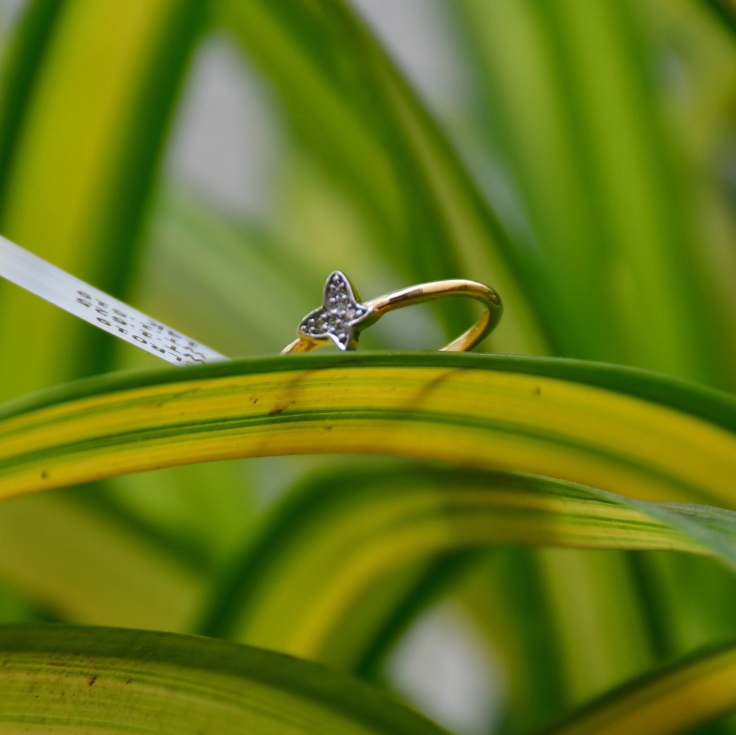A gold diamond band ring with a butterfly-shape on a green and yellow leaf surface.