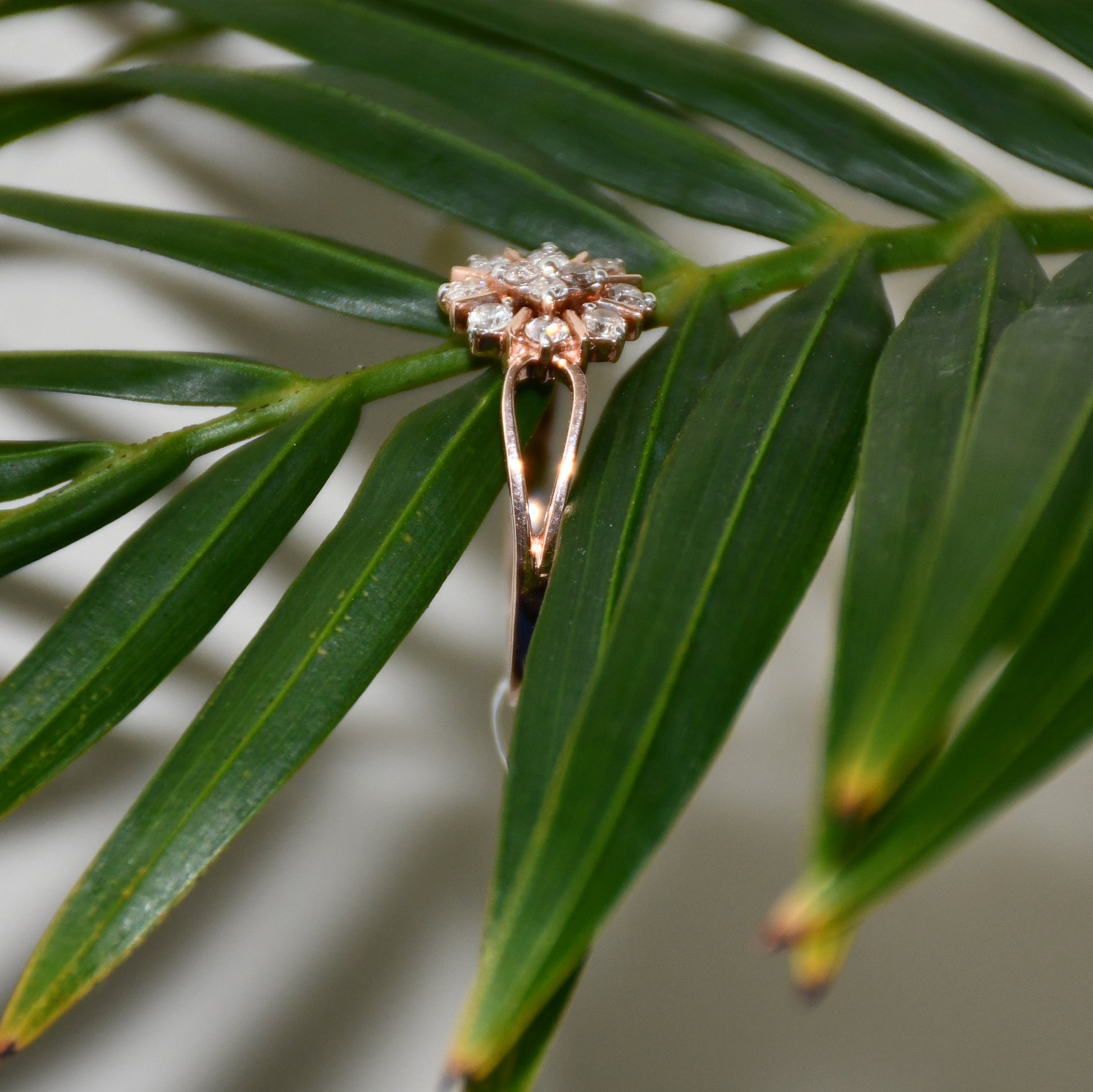 A 14kt gold band ring with a round brilliant cut diamond centerpiece, set on a leafy background.