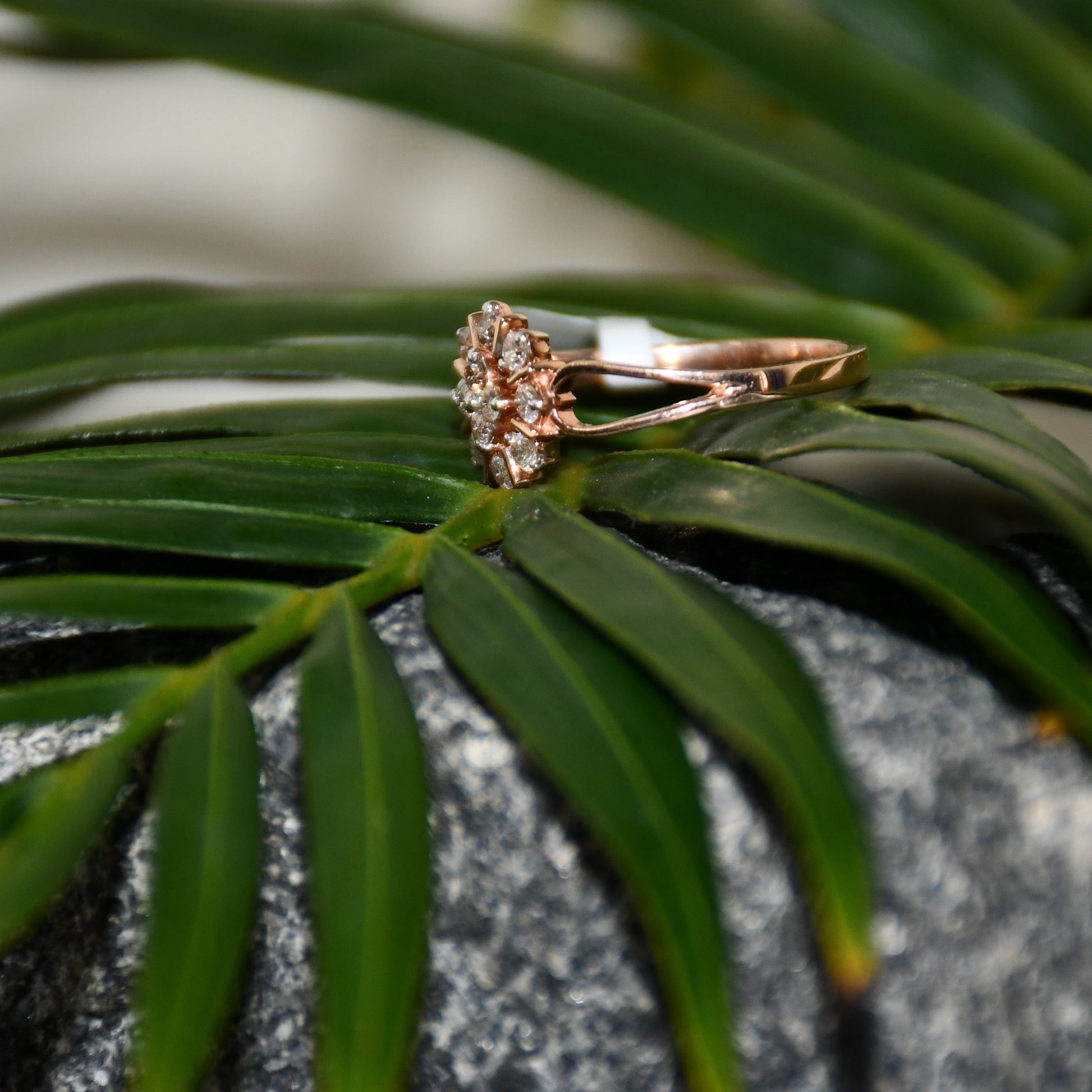 A 14kt gold band ring with a round brilliant cut diamond centerpiece, set on a leafy and rough surface.