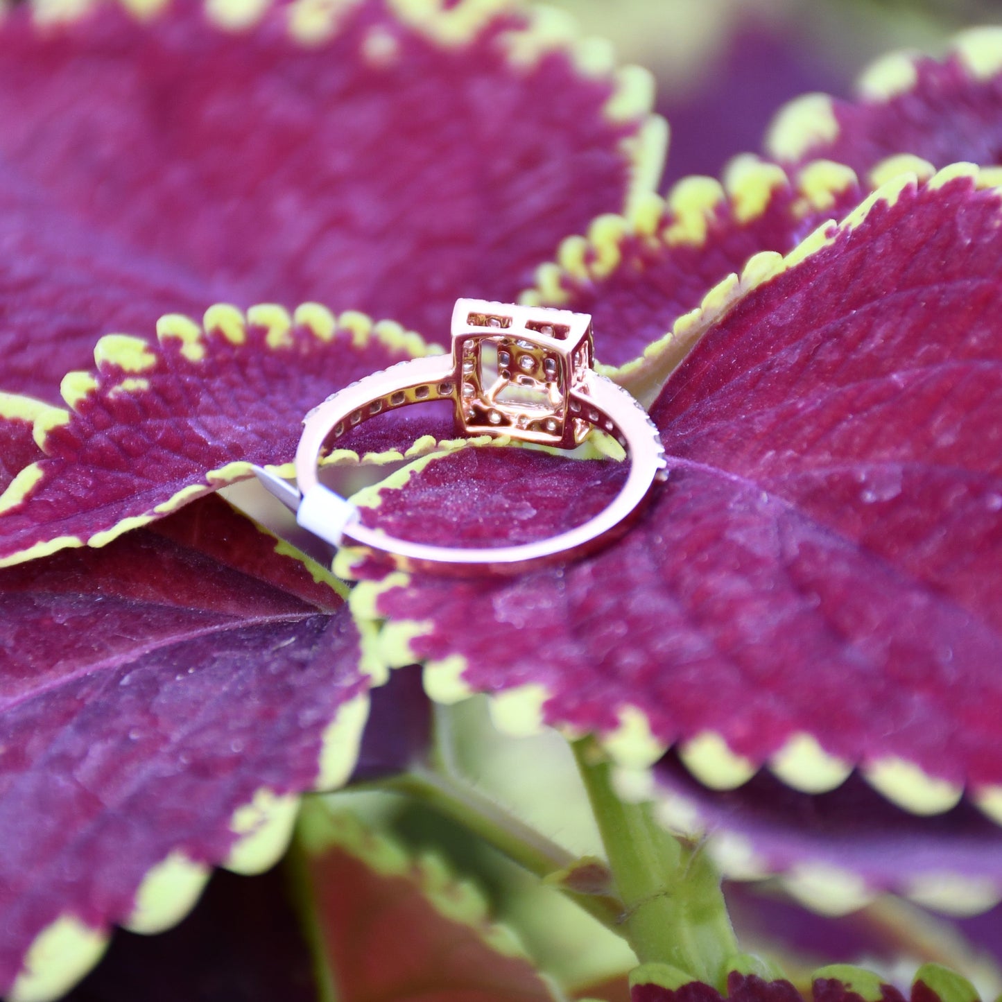 A 14K gold ring with a central square-shaped setting holding a sparkling, multicolored diamond, surrounded by smaller round diamonds set on a purple leaf.