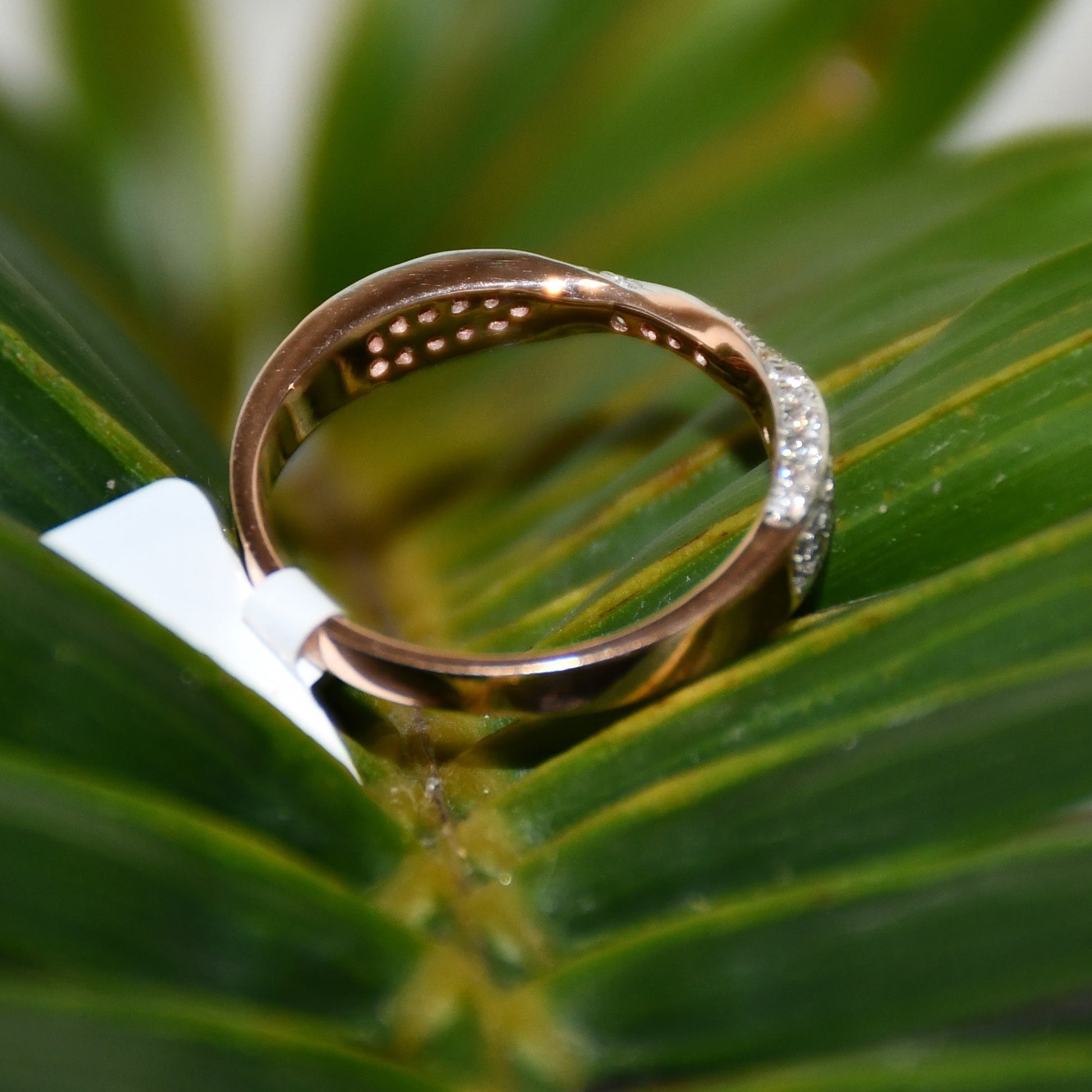 Elegant two-tone diamond ring featuring intertwined bands of rose gold and white gold, adorned with small round-cut diamonds, displayed on a green leaf.