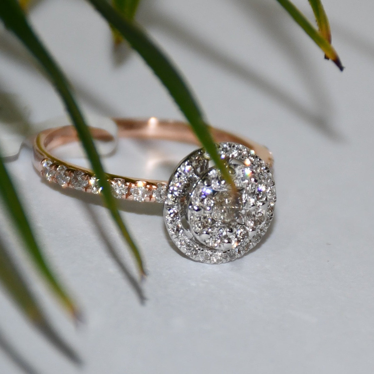 A diamond ring is displayed on a reflective surface with a leafy background.
