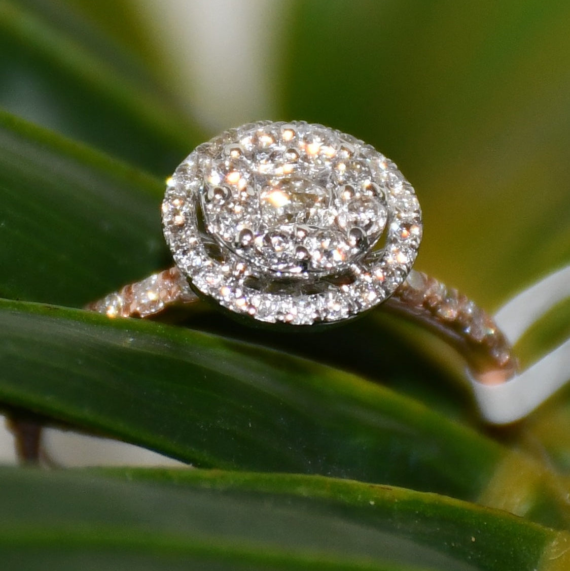 A diamond ring is displayed on a leafy surface.