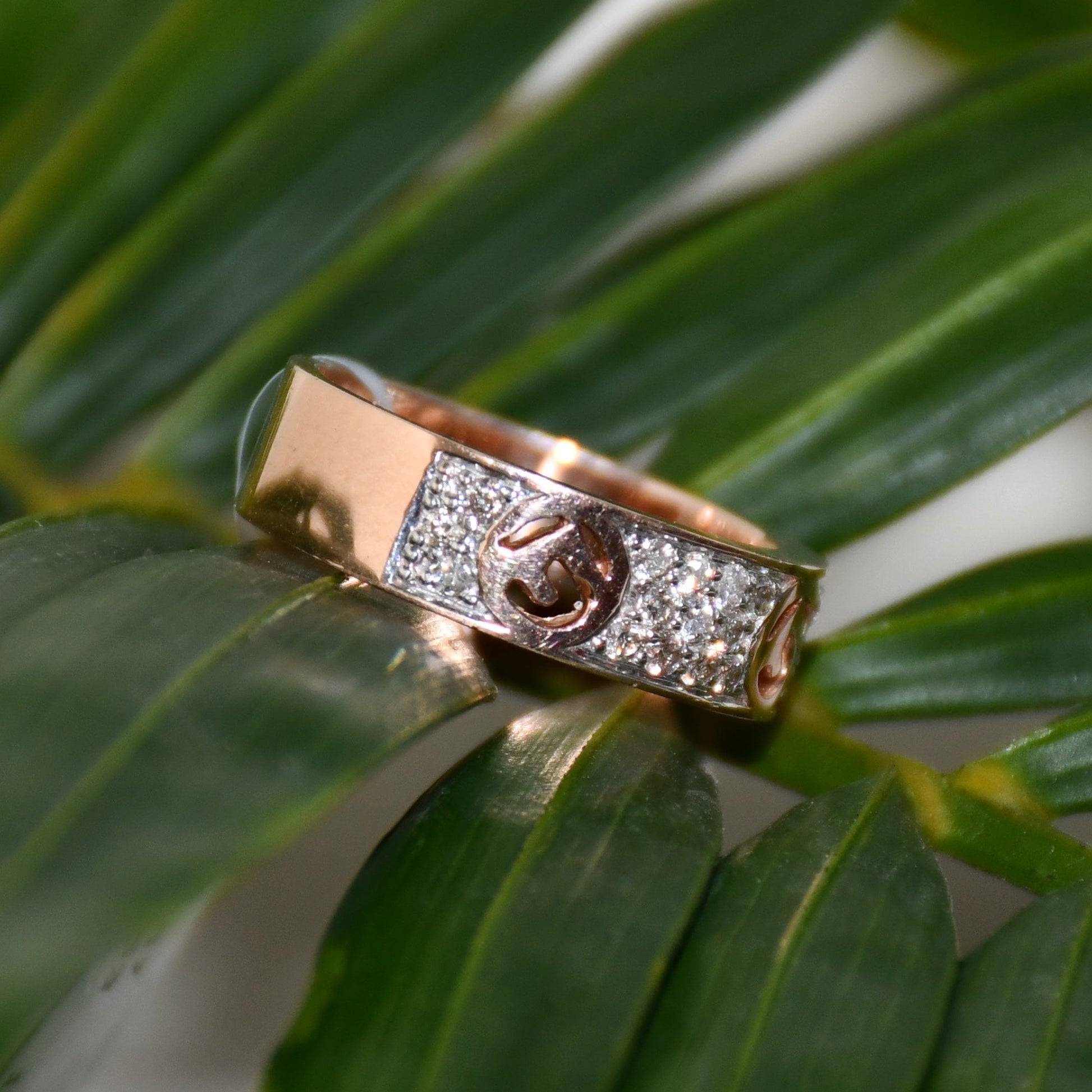 A 14kt gold diamond band ring with smaller diamonds, set on a gold band displayed on a green leaf.