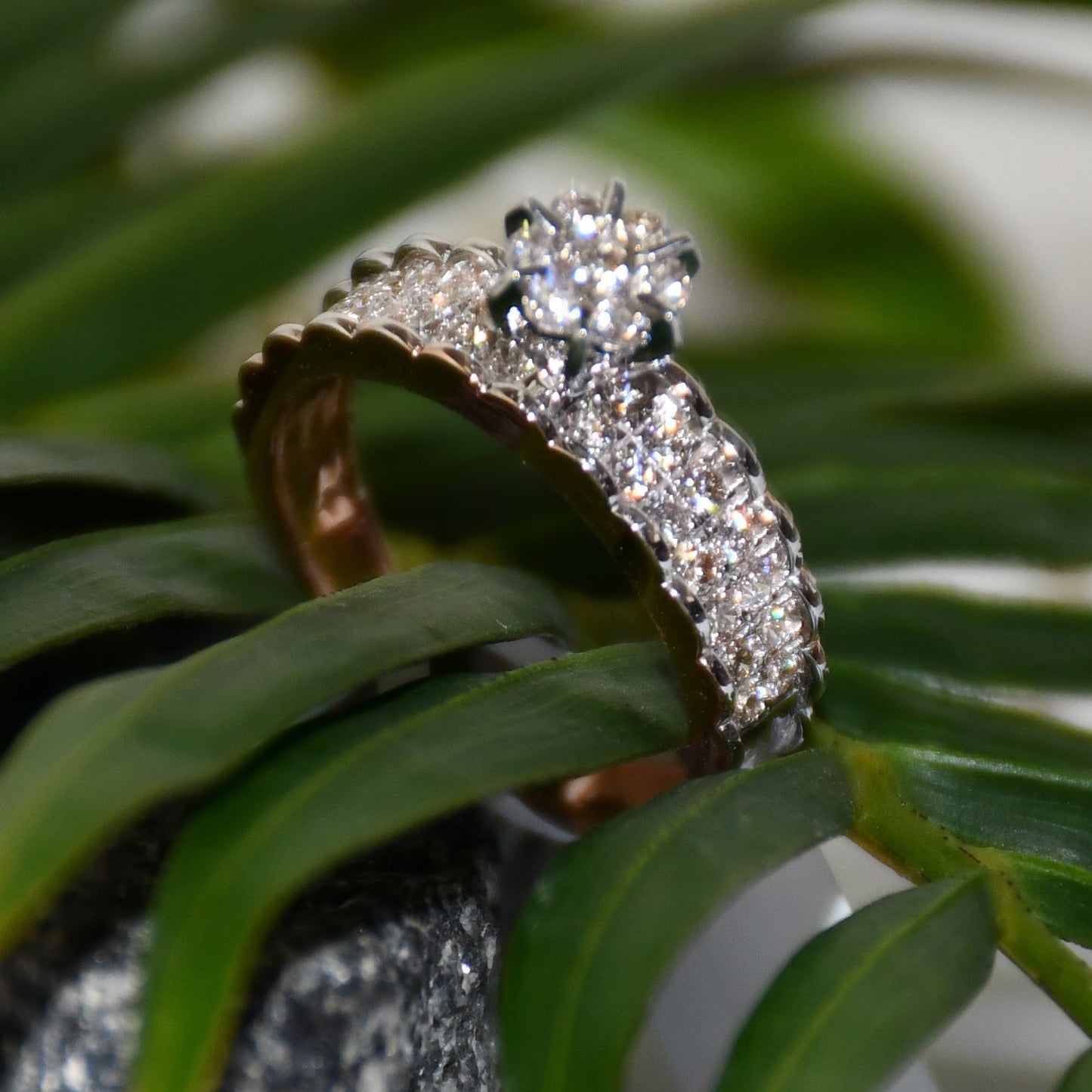 A 14K gold diamond band ring with a clear, certified diamond centerpiece displayed with green leaves surface.