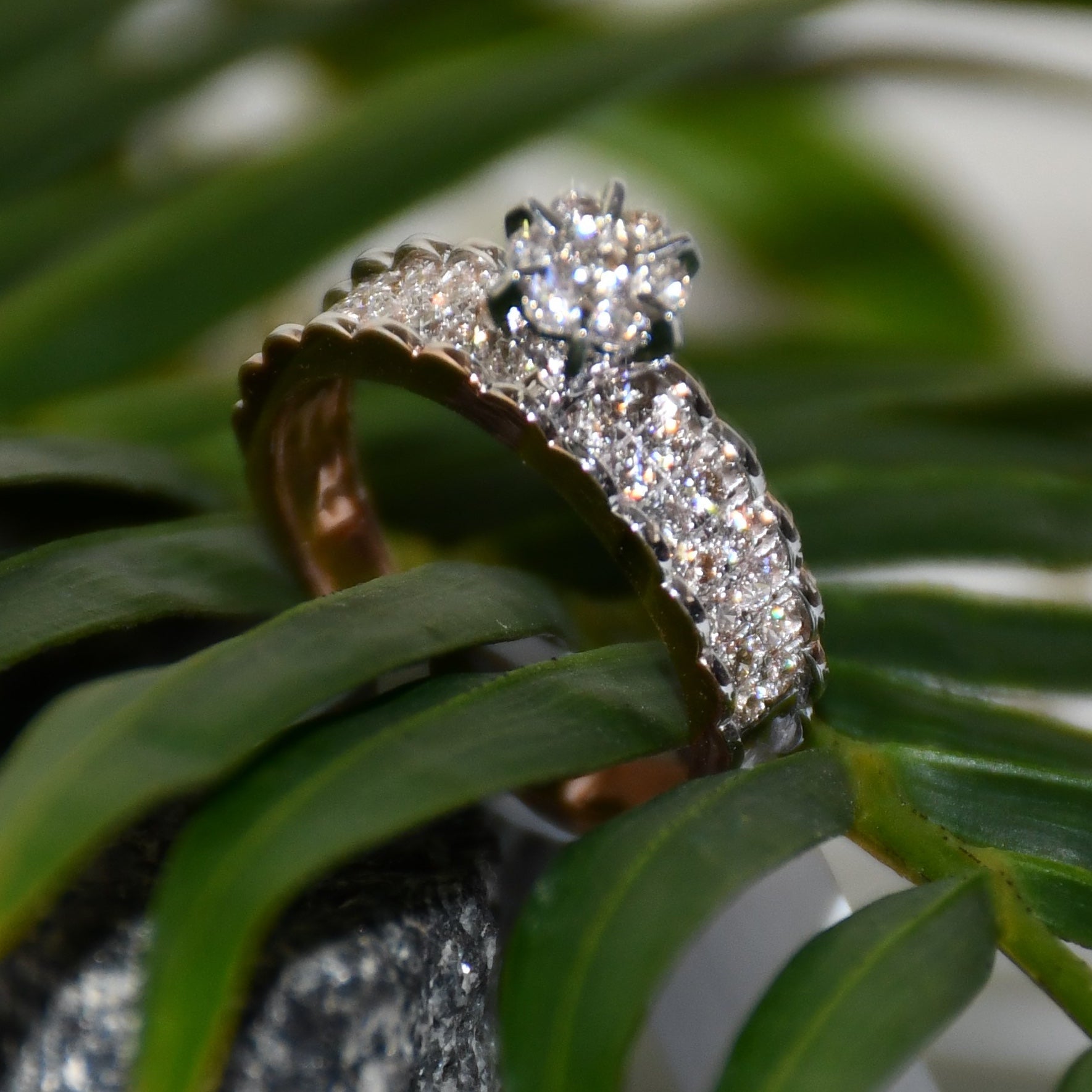 A 14K gold diamond band ring with a clear, certified diamond centerpiece displayed with green leaves surface.