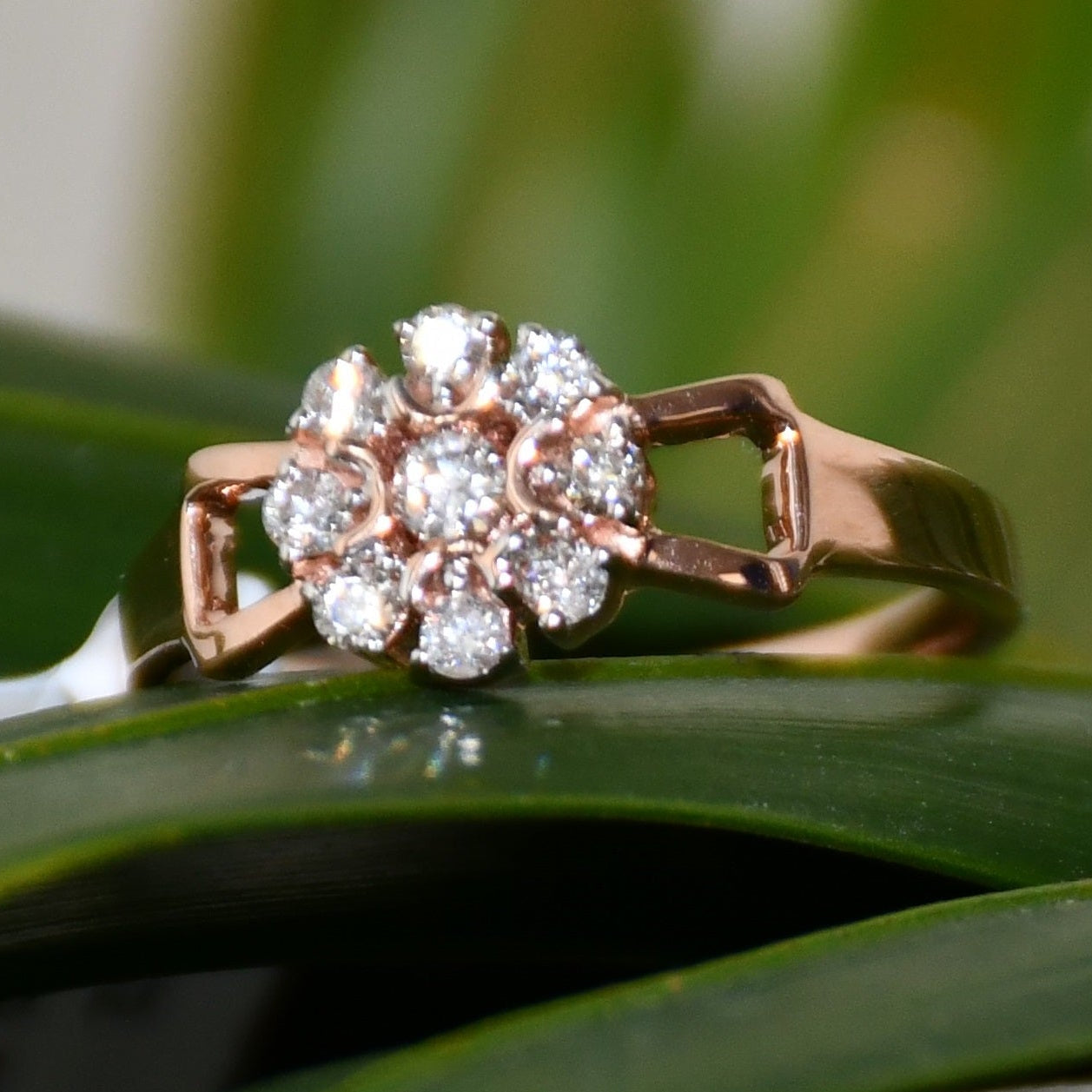 A 14K gold diamond band ring with a central row of diamonds and smaller surrounding diamonds set in a gold band displayed on a green leaf.