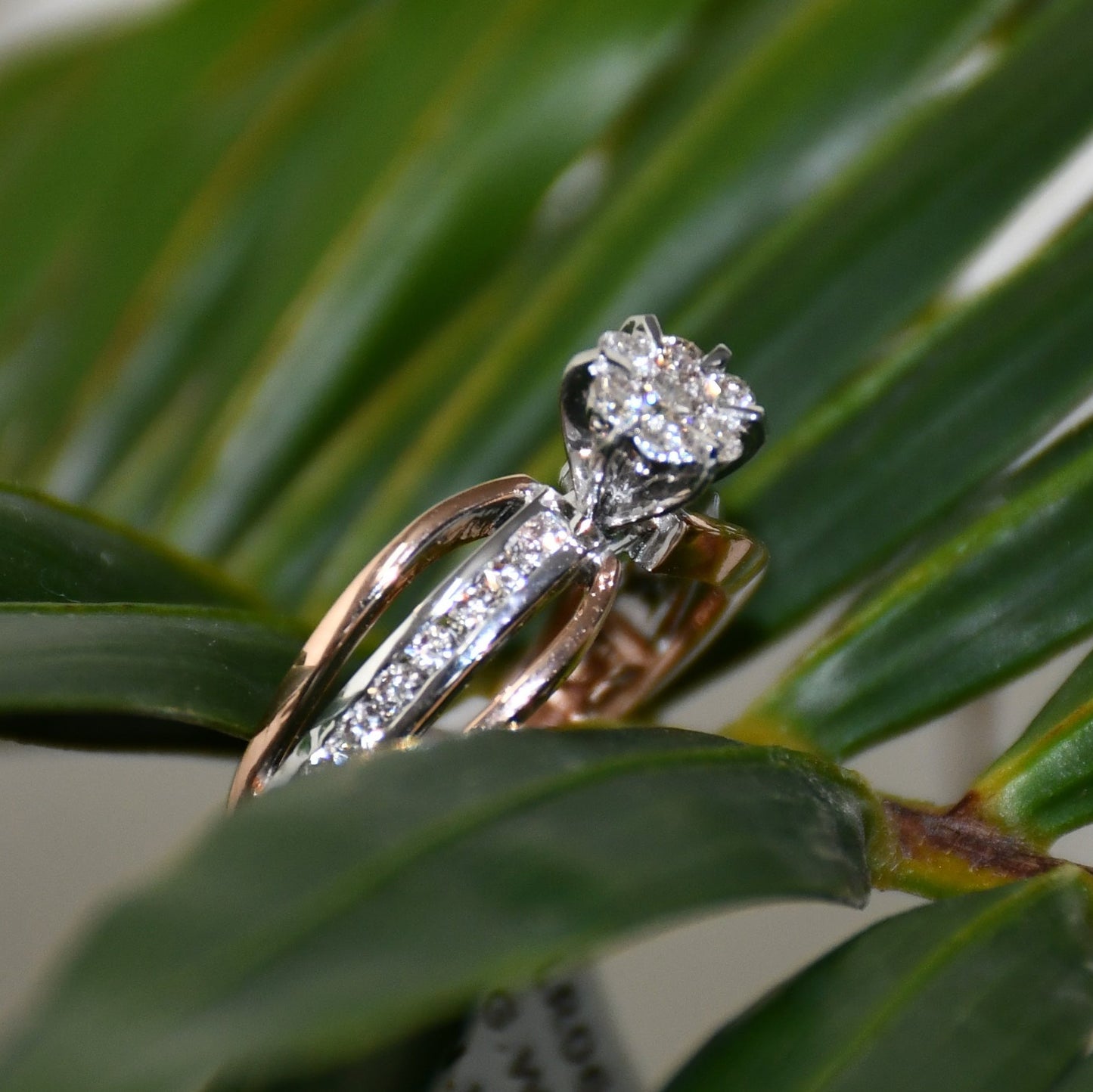 A diamond band ring with 14K gold hallmark, displayed on green leaves.